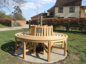 New tree and seat